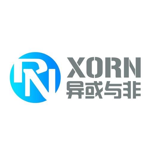 基于稳健技术战略的西安初创公司网络技术开发路径解读——以王鹏博及其创立企业为例